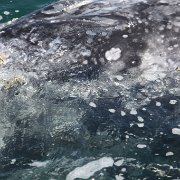 IMG 0001 2 (364)